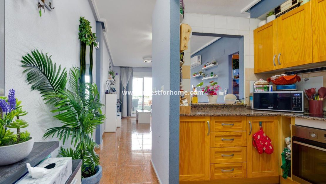 Sale - Apartment - Torrevieja - Centro