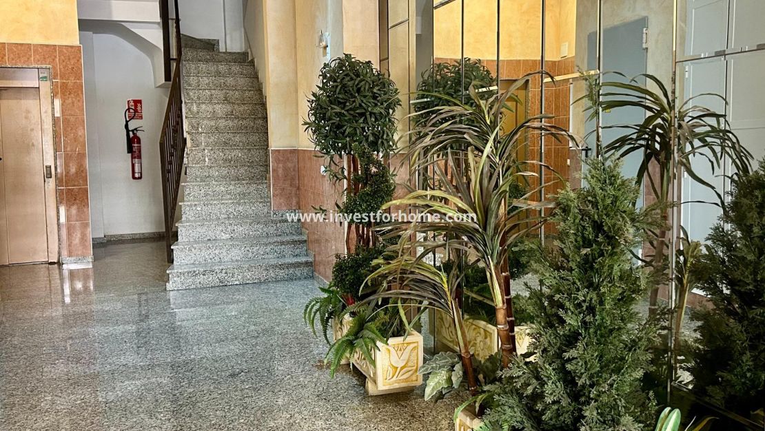 Sale - Apartment - Torrevieja - Centro