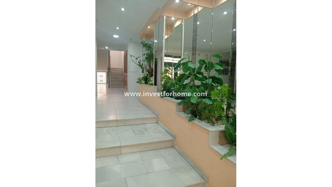 Sale - Apartment - Torrevieja - Centro