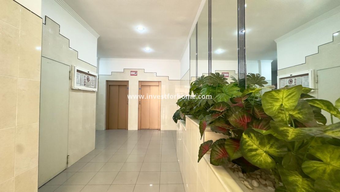 Sale - Apartment - Torrevieja - Centro
