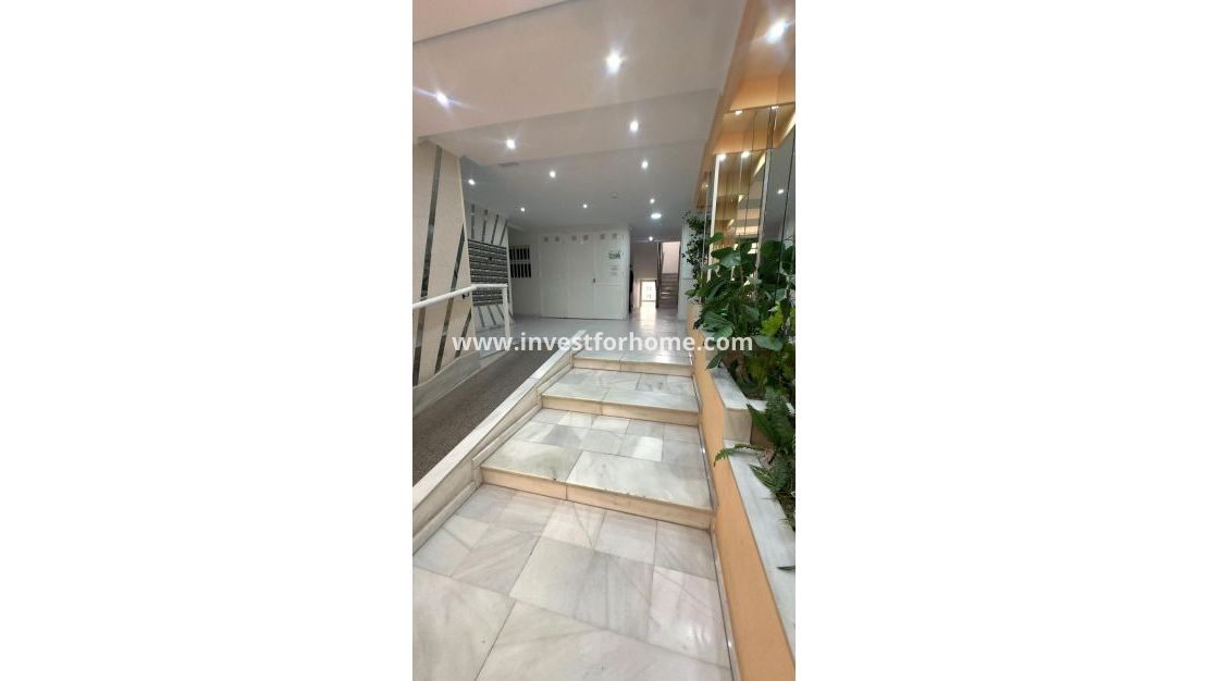 Sale - Apartment - Torrevieja - Centro