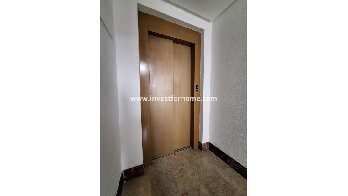 Sale - Apartment - Torrevieja - Costa Blanca