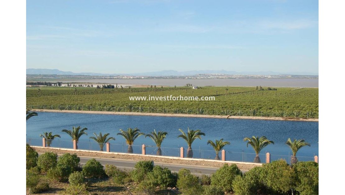 Sale - Apartment - Torrevieja - Costa Blanca