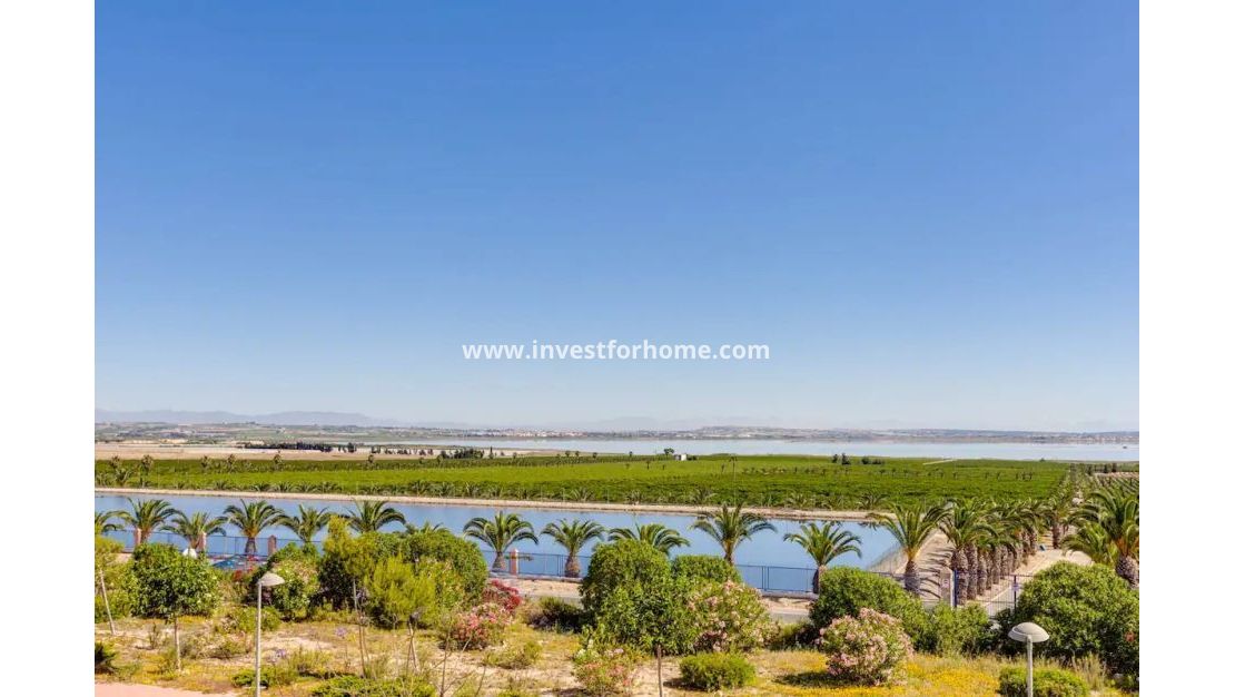 Sale - Apartment - Torrevieja - Costa Blanca