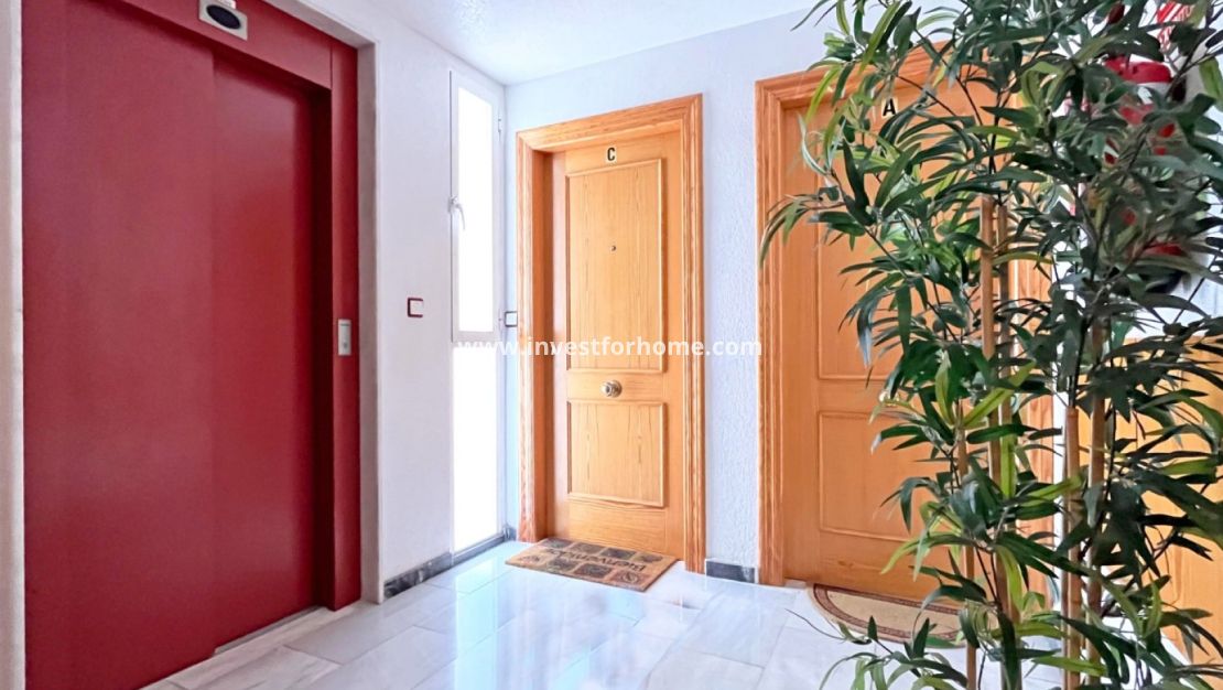 Sale - Apartment - Torrevieja - Costa Blanca