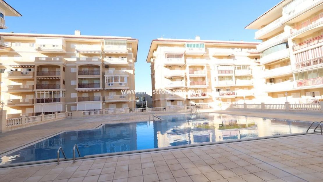 Sale - Apartment - Torrevieja - Costa Blanca