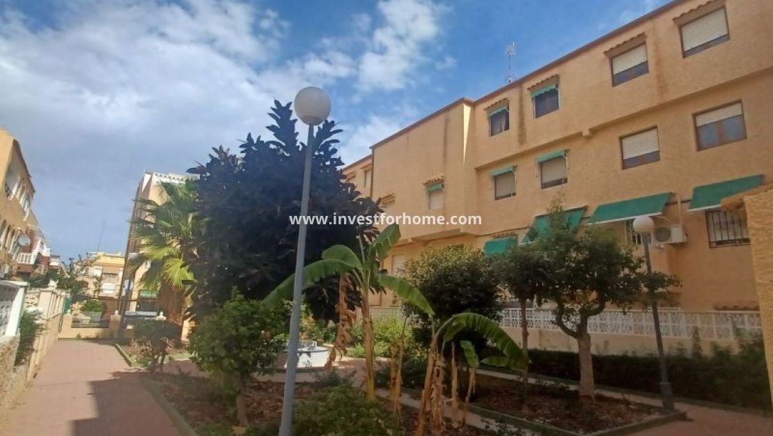 Sale - Apartment - Torrevieja - Costa Blanca