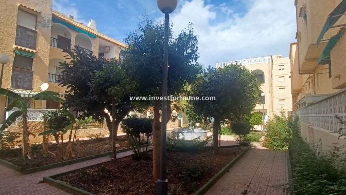 Sale - Apartment - Torrevieja - Costa Blanca