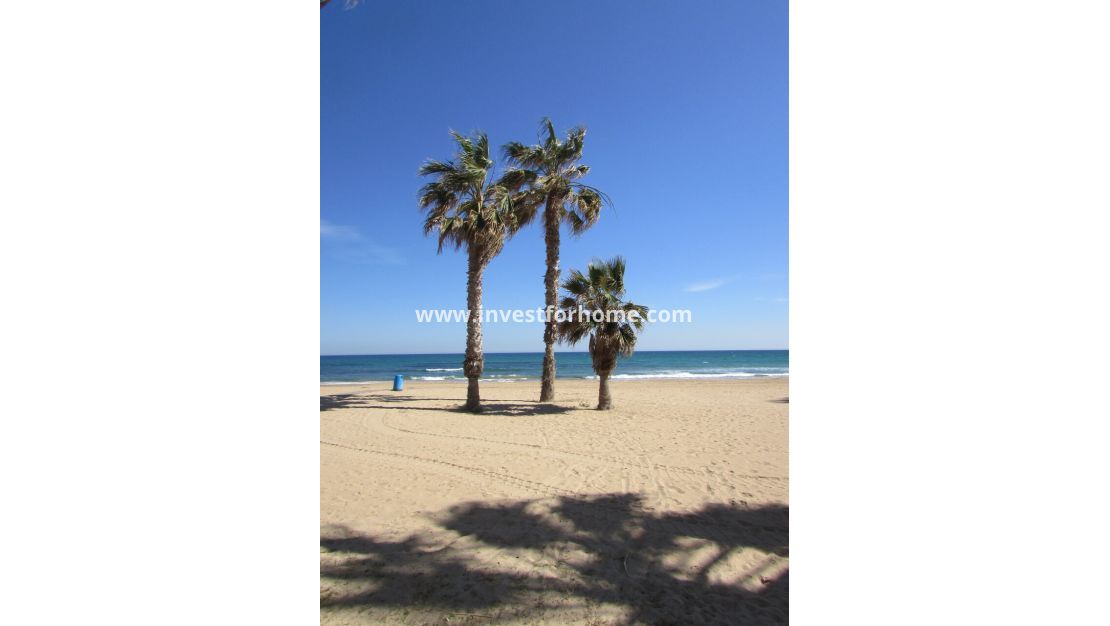 Sale - Apartment - Torrevieja - Costa Blanca