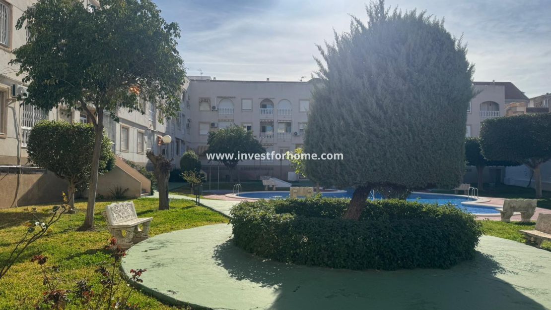 Sale - Apartment - Torrevieja - Costa Blanca