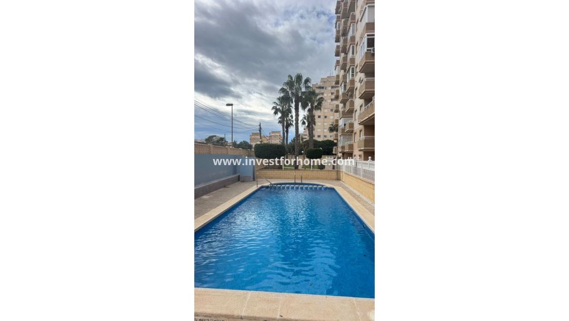 Sale - Apartment - Torrevieja - Costa Blanca