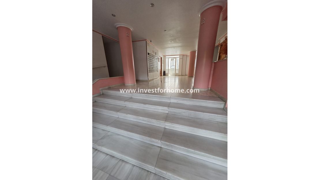 Sale - Apartment - Torrevieja - Costa Blanca