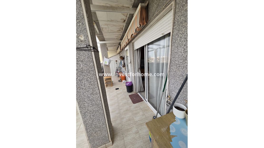 Sale - Apartment - Torrevieja - Costa Blanca