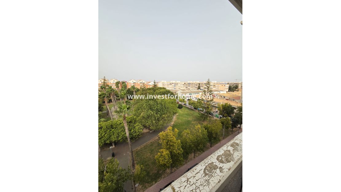 Sale - Apartment - Torrevieja - Costa Blanca