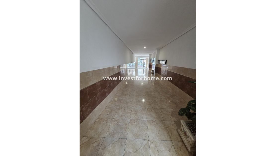 Sale - Apartment - Torrevieja - Costa Blanca