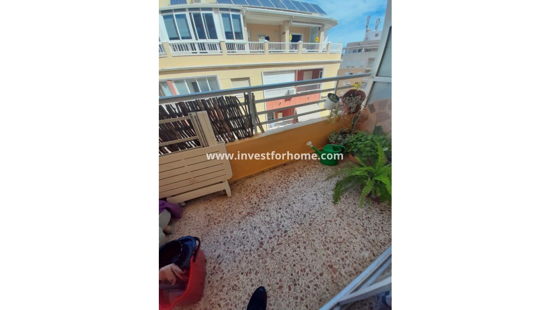 Sale - Apartment - Torrevieja - Costa Blanca