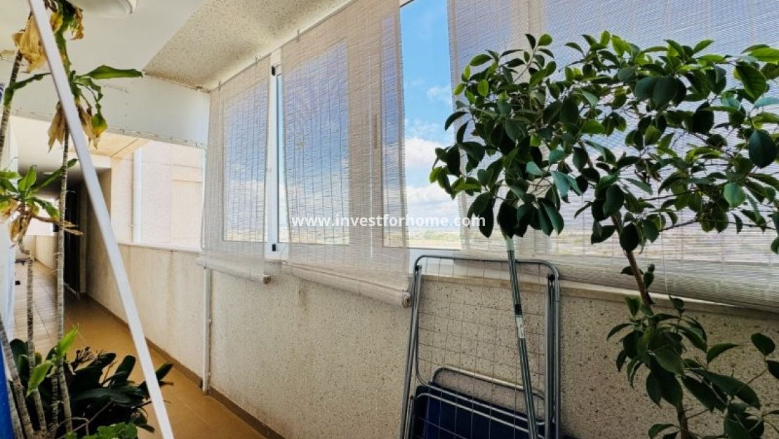 Sale - Apartment - Torrevieja - Costa Blanca