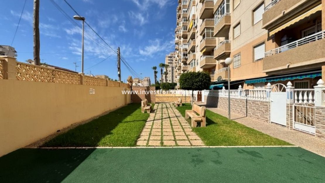 Sale - Apartment - Torrevieja - Costa Blanca