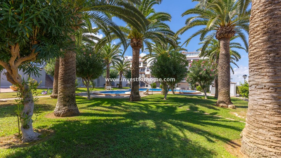 Sale - Apartment - Torrevieja - Costa Blanca