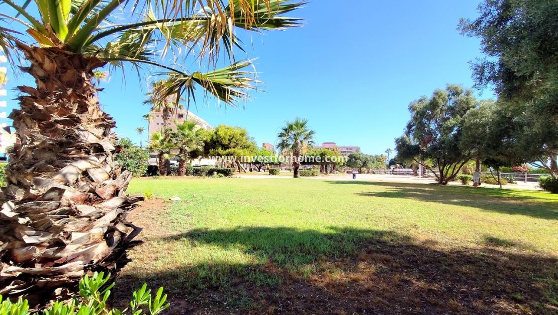 Sale - Apartment - Torrevieja - Costa Blanca
