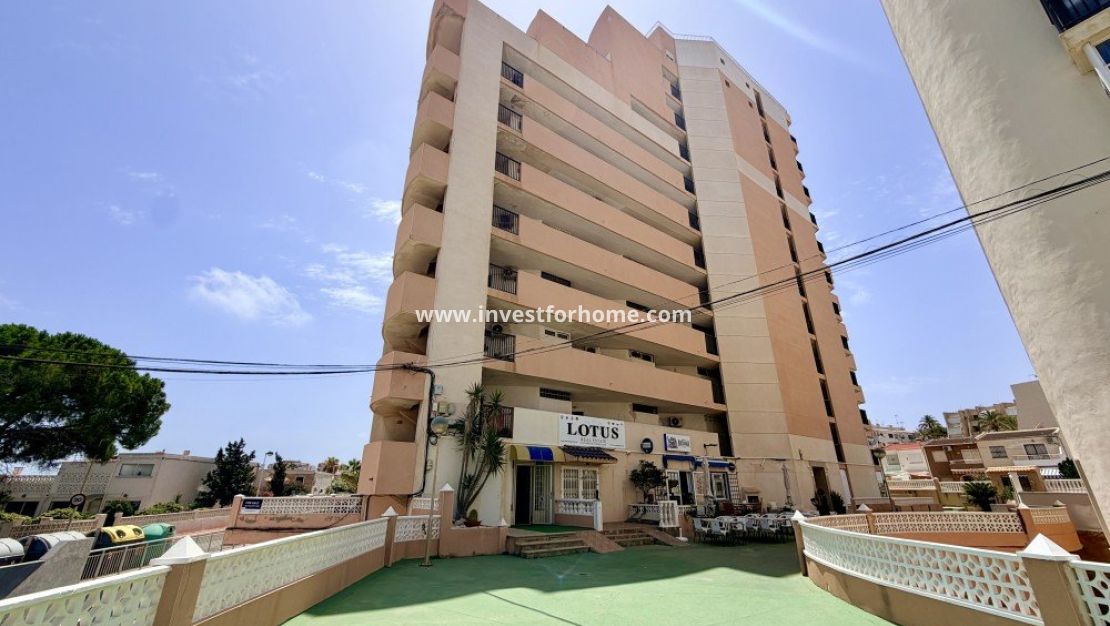 Sale - Apartment - Torrevieja - Costa Blanca