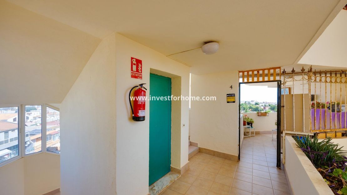 Sale - Apartment - Torrevieja - Costa Blanca