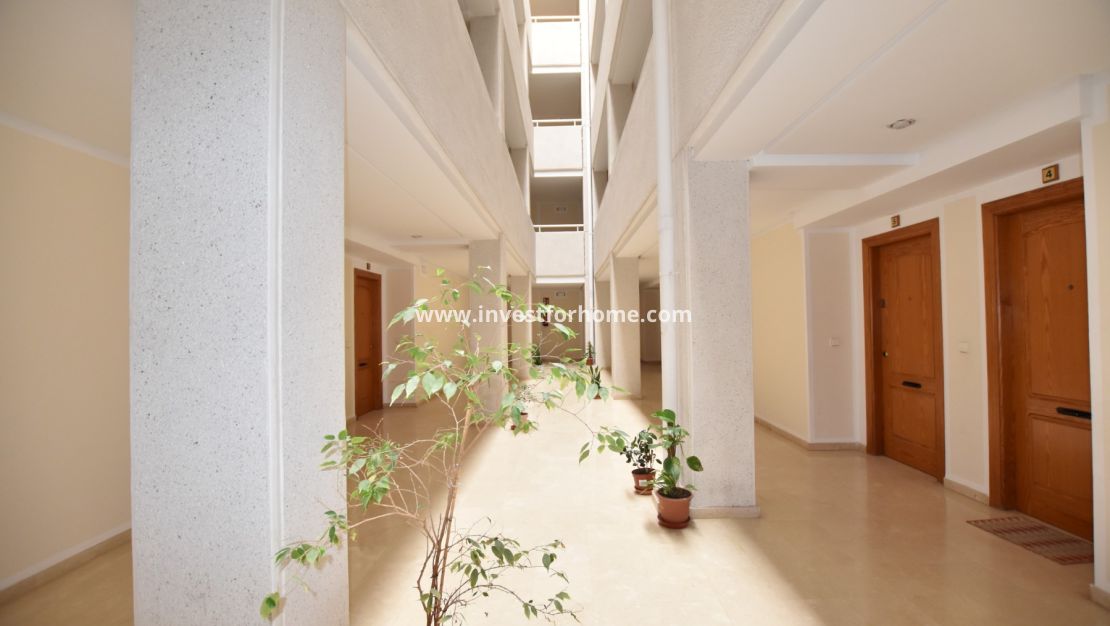 Sale - Apartment - Torrevieja - Costa Blanca