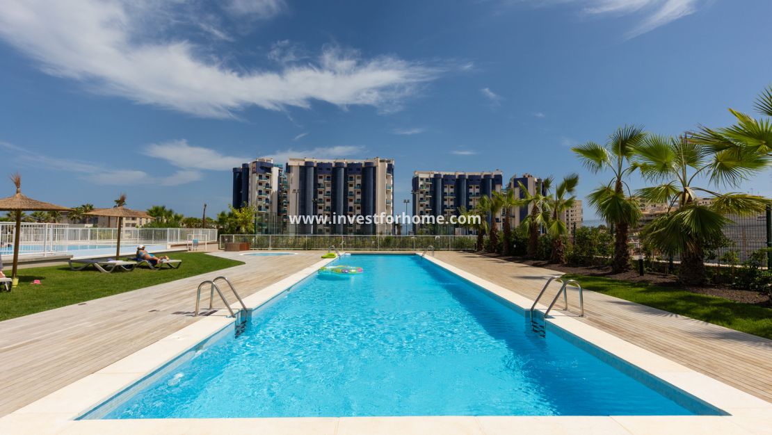Sale - Apartment - Torrevieja - Costa Blanca