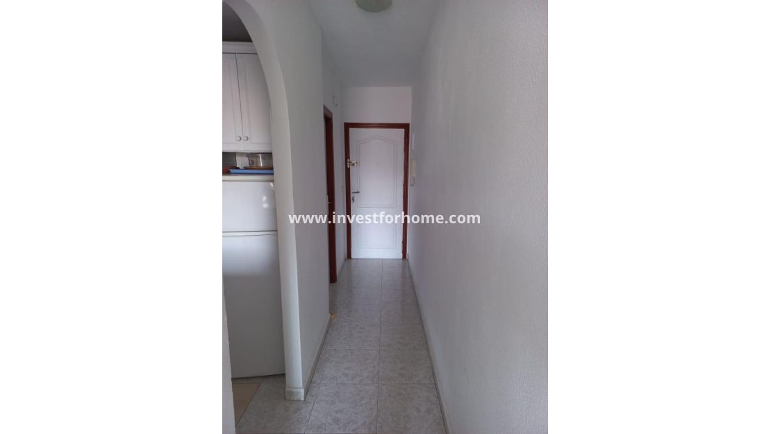 Sale - Apartment - Torrevieja - Estacion De Autobuses