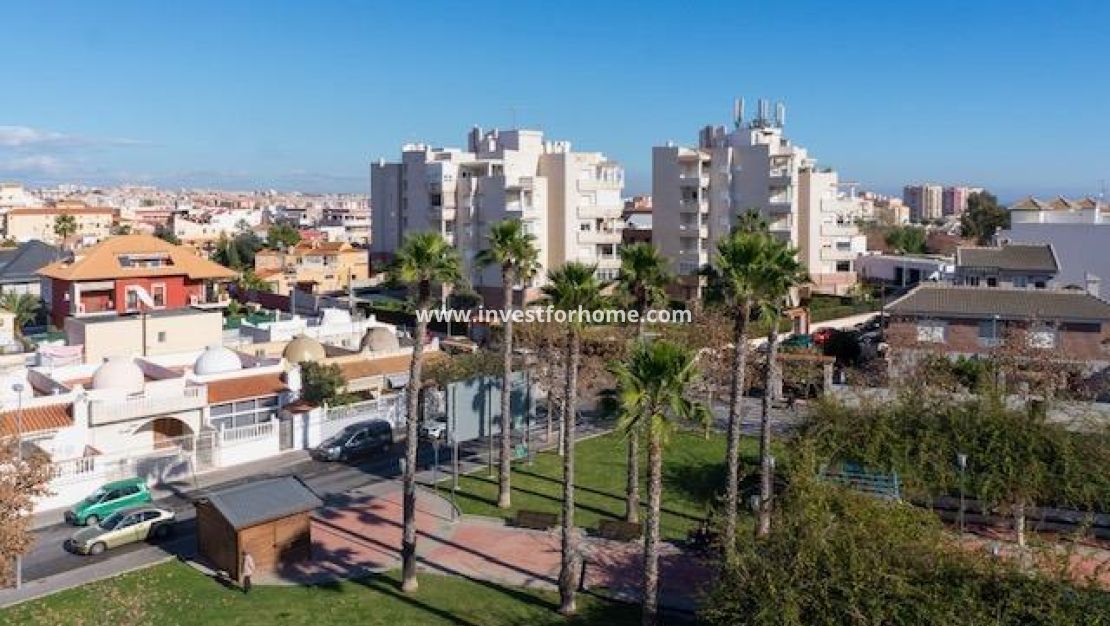 Sale - Apartment - Torrevieja - Estacion De Autobuses