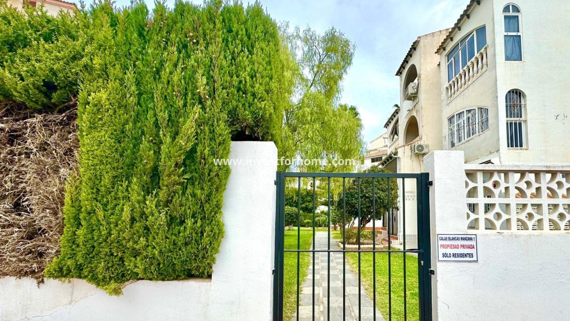 Sale - Apartment - Torrevieja - Estacion De Autobuses