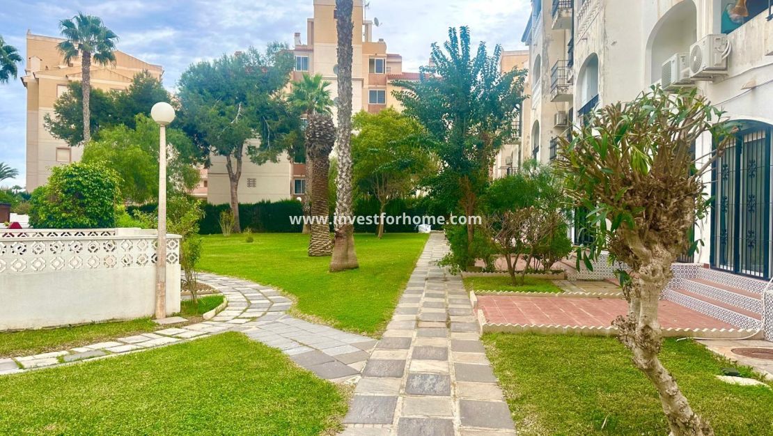 Sale - Apartment - Torrevieja - Estacion De Autobuses