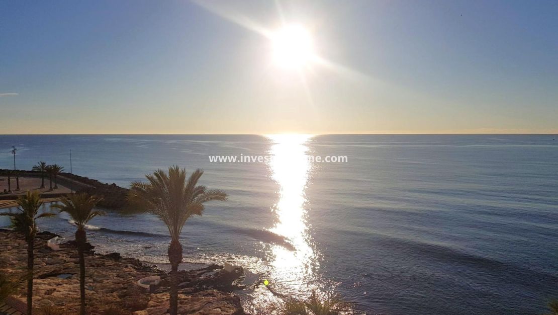 Sale - Apartment - Torrevieja - Estacion De Autobuses