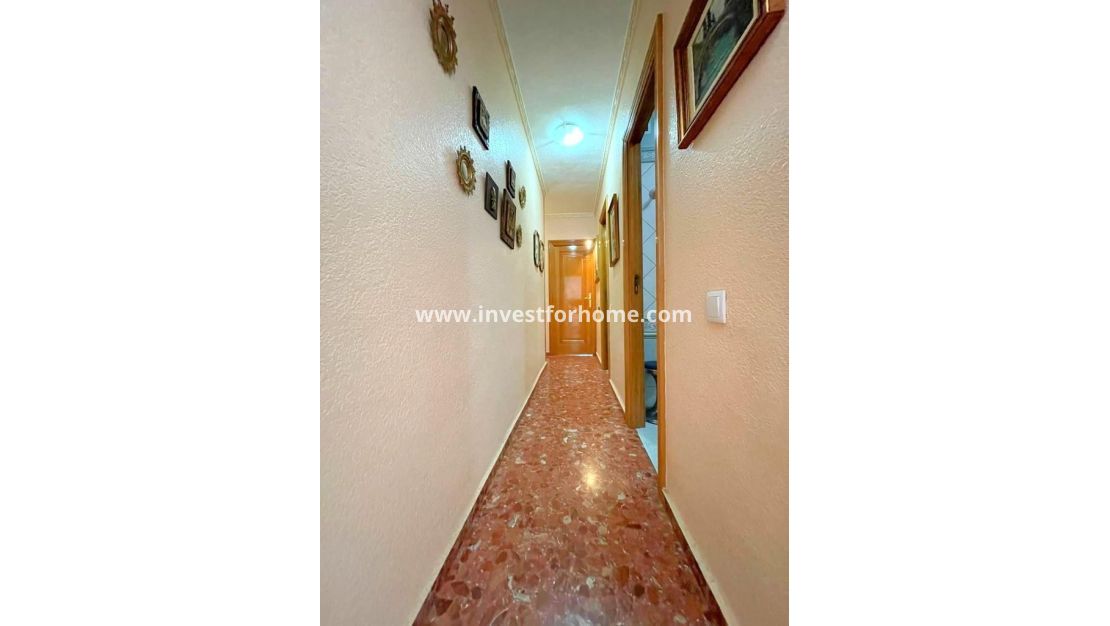 Sale - Apartment - Torrevieja - Estacion De Autobuses