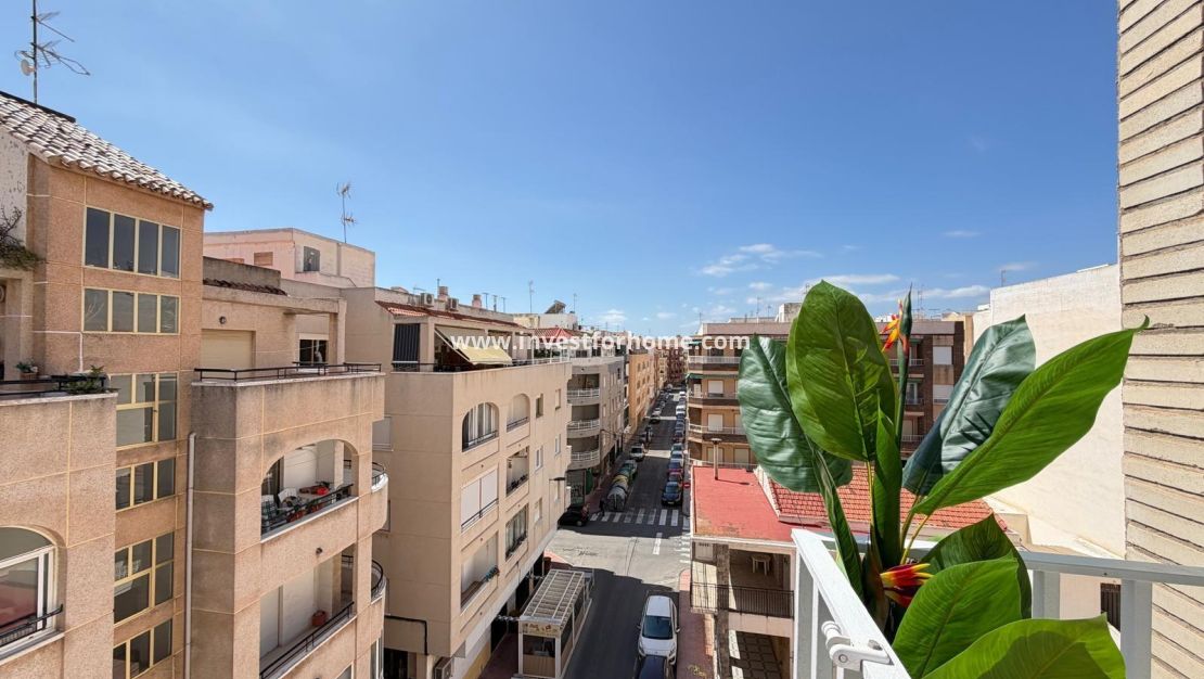 Sale - Apartment - Torrevieja - Estacion De Autobuses