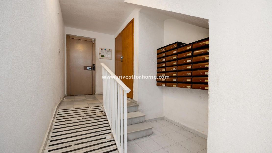 Sale - Apartment - Torrevieja - Estacion De Autobuses