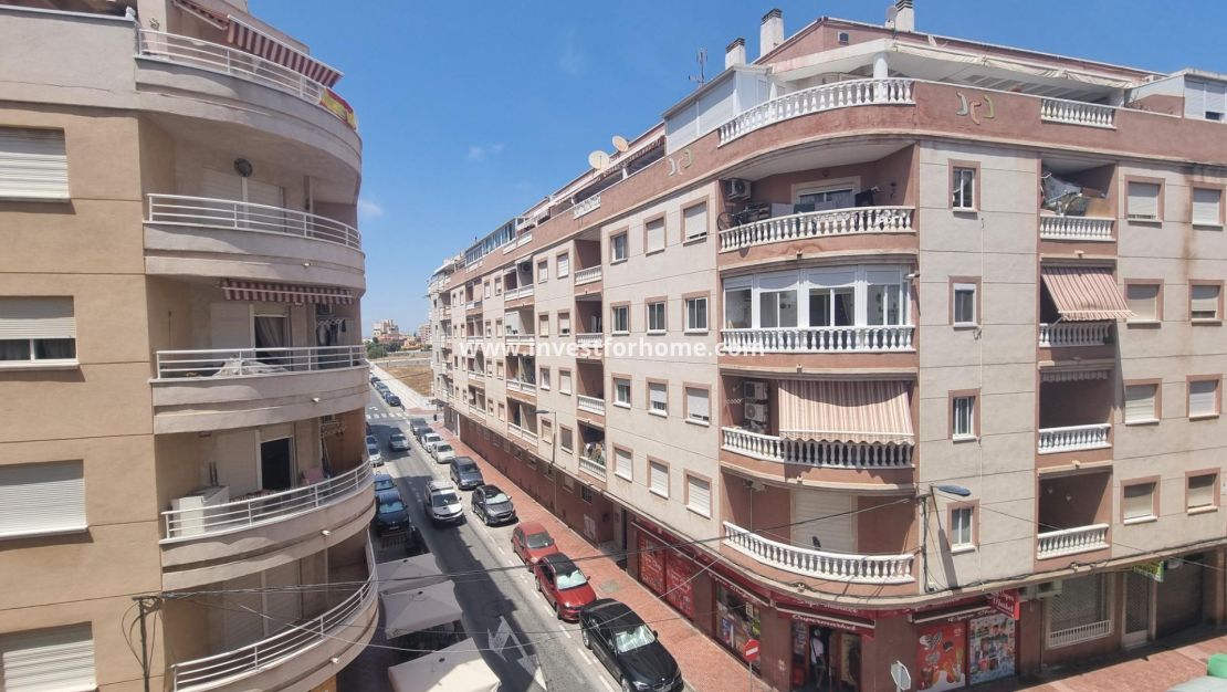 Sale - Apartment - Torrevieja - Estacion De Autobuses