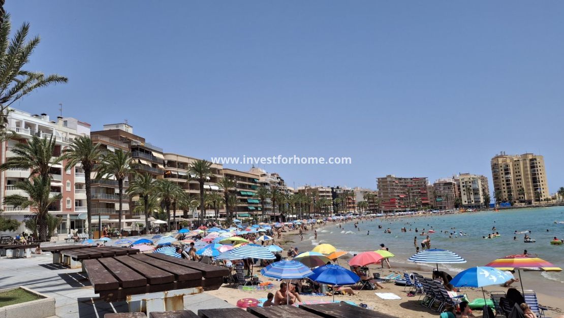 Sale - Apartment - Torrevieja - Estacion De Autobuses