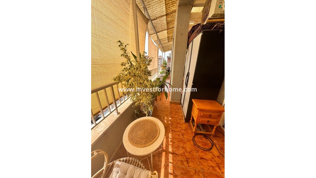 Sale - Apartment - Torrevieja - Estacion De Autobuses