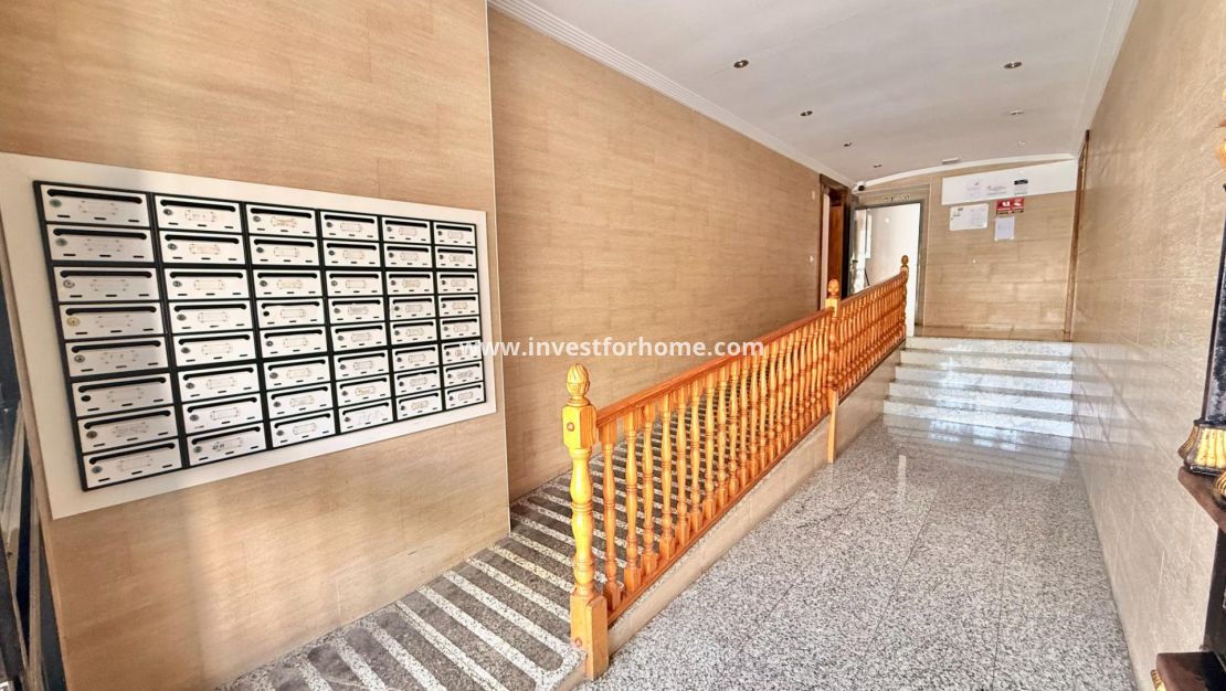 Sale - Apartment - Torrevieja - Estacion De Autobuses