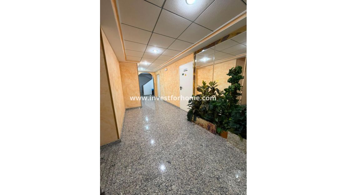 Sale - Apartment - Torrevieja - Estacion De Autobuses