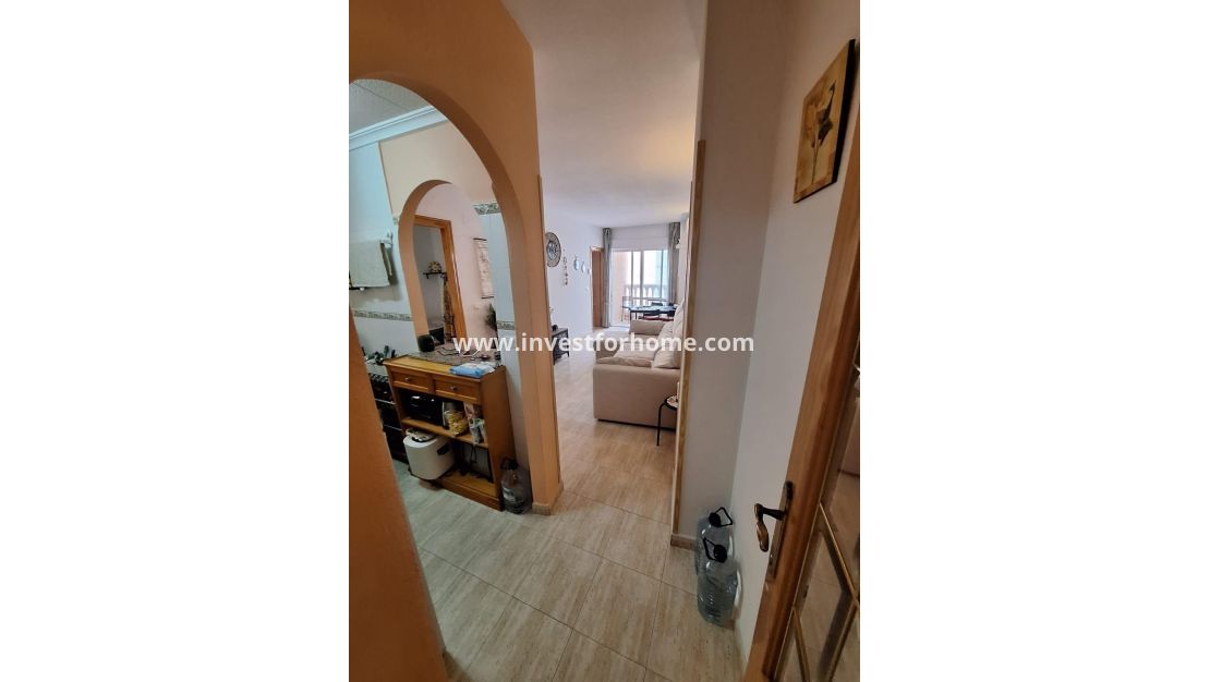 Sale - Apartment - Torrevieja - Estacion De Autobuses