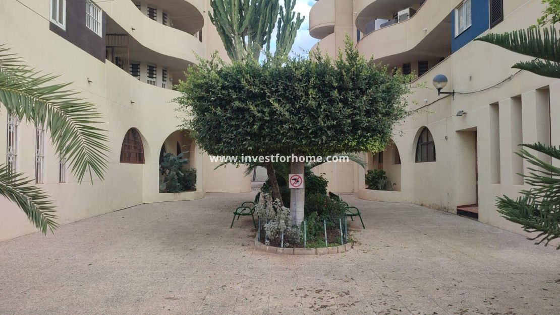 Sale - Apartment - Torrevieja - La Veleta