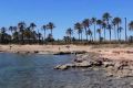 Sale - Apartment - Torrevieja - La Veleta