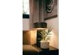 Sale - Apartment - Torrevieja - Las Piscinas Naturales