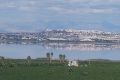 Sale - Apartment - Torrevieja - Los Balcones