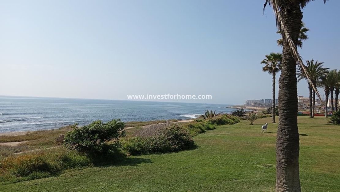 Sale - Apartment - Torrevieja - MAR AZUL LA VELETA