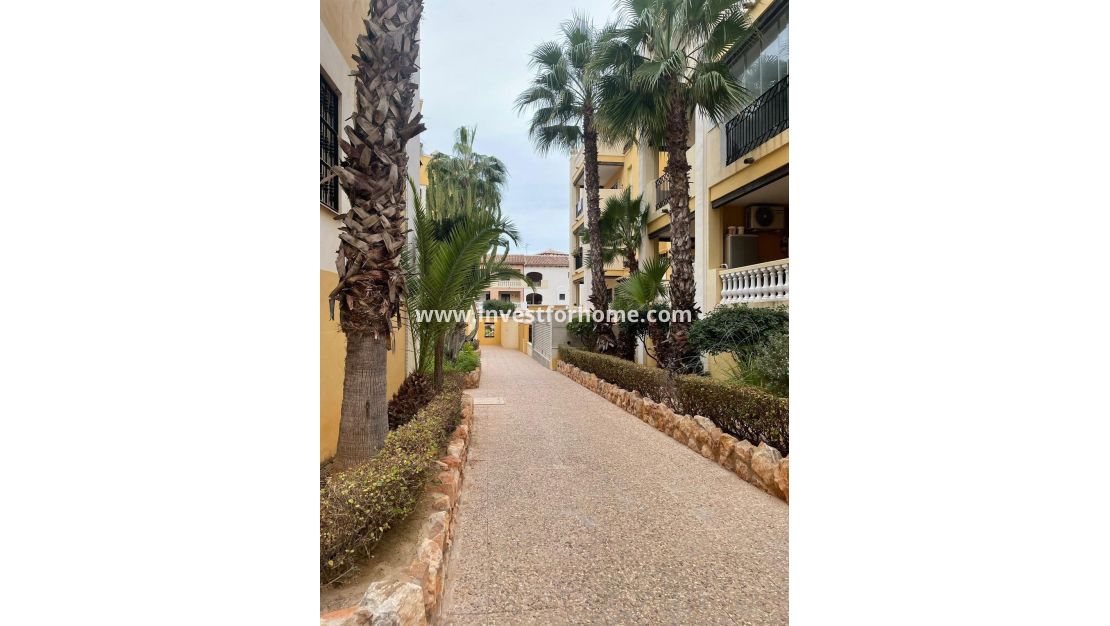 Sale - Apartment - Torrevieja - Nueva Torrevieja - Aguas Nuevas