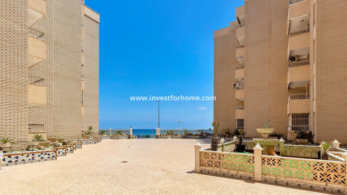 Sale - Apartment - Torrevieja - Playa de los Locos