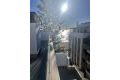 Sale - Apartment - Torrevieja - Playa de los Locos